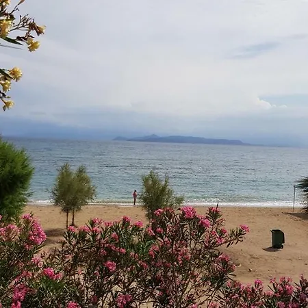 Perfect Beachfront *